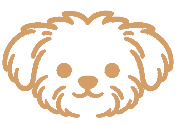 Dallas Fort Worth local puppies for sale icon to browse available Maltese Yorkie Shih Tzu and Morkie puppies in DFW